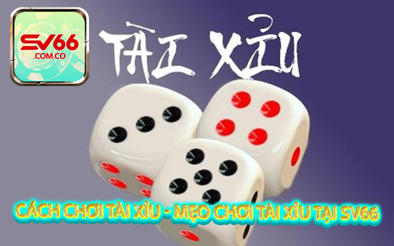 Cách chơi tài xỉu